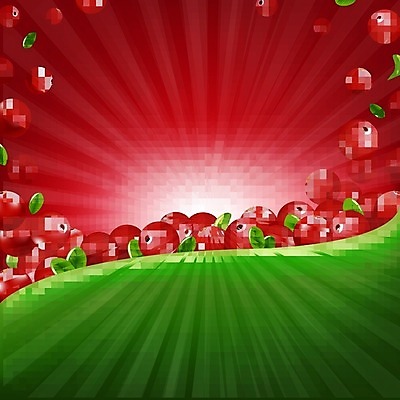 EPS 해외이미지 식물 라이프스타일 디자인 열매 포스터 음식 줄기 백그라운드 스티커 잎 과일 일러스트 자연 디저트 주택 건강 빨간색 초록색 빛 약 라벨 주스 흰색 신선 투명 달콤 약국 허브 오브젝트 유기농 꿀 테라피 고립 돌봄 크랜베리 해외202004 해외일러스트 웰빙 음료 컬러 의학 모션 프레임 건물 생활 뷰티 맛 생태계 파일형식 벡터 이미지허브