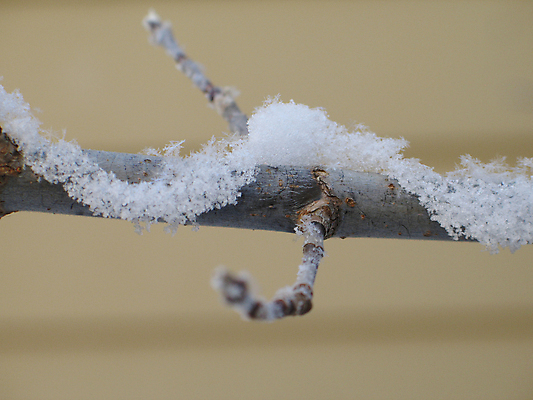 포토 JPG 해외이미지 주간 나무 조각 겨울 자연 사람없음 가로 냉동 얼음 추위 백발 흰색 나뭇가지 담요 땅 북극 피부 유기농 서리 나무껍질 마법 반투명 웅장함 해외202004 해외포토 자연요소 식물 헤어스타일 웰빙 계절 컬러 신체부위 껍질 극지방 생태계 파일형식 이미지허브