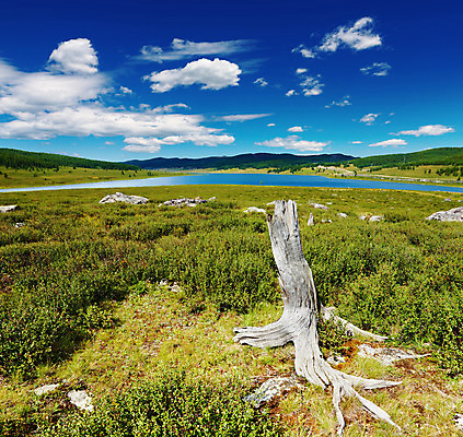 포토 JPG 해외이미지 나무 구름 호수 자연 하늘 산 건조 풍경 사람없음 초록색 여름 파란색 환경 계곡 맑음 오픈 숲 언덕 산악지대 시베리아 해외202004 해외포토 자연요소 식물 계절 컬러 날씨 생태계 파일형식 이미지허브
