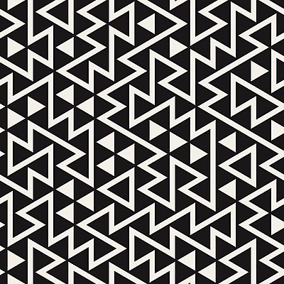 EPS 해외이미지 템플릿 디자인 선 백그라운드 패턴 일러스트 벽지 표면 추상 흑백 그래픽 장식 디지털 줄무늬 흰색 직물 그물 플랫 타일 질감 망사 무한 포장소품 혼란 불규칙 스타일 해외202004 해외일러스트 컬러 컨셉 무늬 포장 촬영기법 오브젝트 포장재료 파일형식 벡터 이미지허브