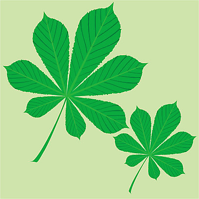 EPS 해외이미지 디자인 백그라운드 잎 꽃무늬 패턴 일러스트 자연 추상 미술 질감 해외202004 해외일러스트 식물 꽃 무늬 문화예술 생태계 파일형식 벡터 이미지허브