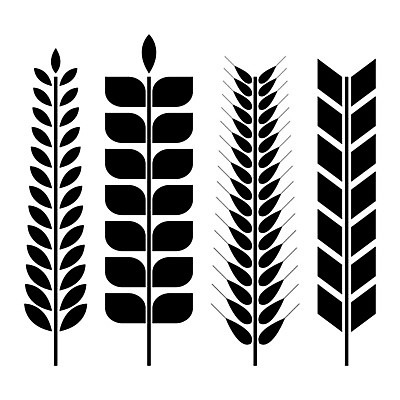 EPS 해외이미지 클립아트 식물 디자인 실루엣 음식 빵 줄기 농업 일러스트 자연 추상 건강 옥수수 씨앗 그래픽 농작물 세트 농장 웹 수확 성장 황금 플랫 낟알 만화 시리얼 밀 먹기 심볼 그림 유기농 귀 스파이크 내추럴 고립 밭일 숙성 호밀 해외202004 해외일러스트 웰빙 산업 무늬 인터넷 모션 곡류 촬영기법 신체부위 생태계 파일형식 벡터 이미지허브