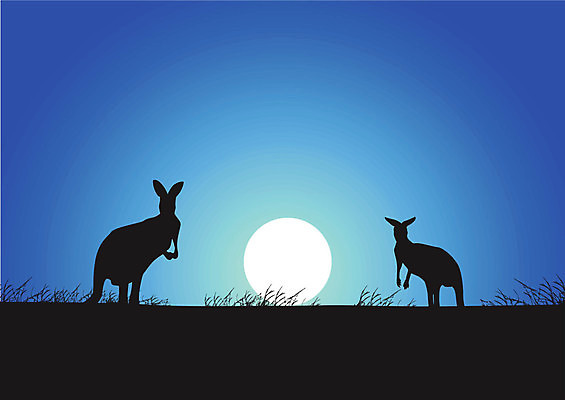 EPS 해외이미지 동물 실루엣 백그라운드 밭 일러스트 자연 하늘 산 그림자 미술 풍경 야외 장식 여름 파란색 태양 일출 점프 검은색 어둠 일몰 수확 호주 야간 사파리 질감 영토 북쪽 캥거루 내추럴 광 그런지 옛날 오지 전국 평야 해외202004 해외일러스트 자연요소 계절 컬러 농업 포유류 모션 문화예술 촬영기법 노을 오세아니아 방향 생태계 파일형식 벡터 이미지허브