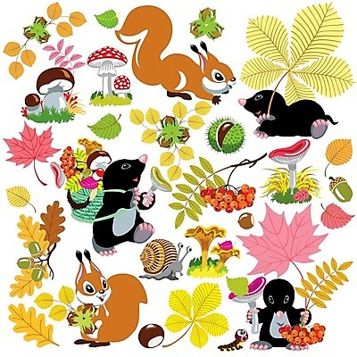 EPS 해외이미지 동물 계절 행복 어린이 음식 단풍 잎 일러스트 자연 선물 목재 세트 버섯 견과류 수확 가을 숲 수집 그림 달팽이 다람쥐 도토리 곰팡이 그물버섯 두더지 식용 재 해외202004 해외일러스트 나무 식물 감정 농업 재료 연체동물 사람 설치류 생태계 파일형식 벡터 이미지허브