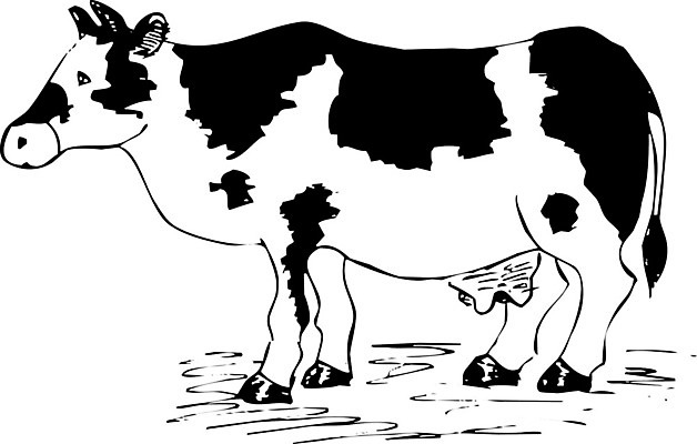 EPS 해외이미지 동물 응시 실루엣 일러스트 포유류 태국 서기 초록색 농장 검은색 가축 소고기 우유 흰색 시골 점 소 방목 만화 스케치 심볼 서비스 그림 윤곽 송아지 목판화 찰과상 해외202004 해외일러스트 시선 아시아 새끼 컬러 농업 모션 유제품 촬영기법 육류 미술 축산업 상처 파일형식 벡터 이미지허브