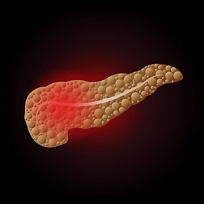EPS 해외이미지 모델 디자인 포스터 과학 신체 일러스트 해부 건강 미술 사람 내부 그래픽 약 흰색 오르간 질병 만화 심볼 그림 생물학 시스템 방광 췌장 고립 당뇨병 돌봄 복근 엘리먼트 포도당 해외202004 해외일러스트 교육 컬러 의학 모션 근육 문화예술 장기_의학 건반악기 비뇨기관 파일형식 벡터 이미지허브