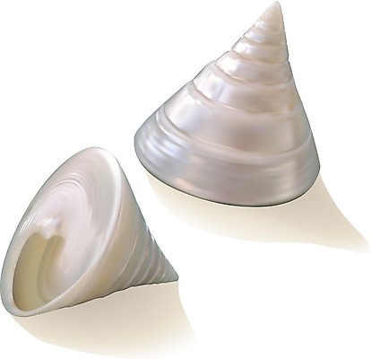 EPS 해외이미지 모양 동물 디자인 별 야생동물 바다 분홍색 여행 백그라운드 패턴 일러스트 자연 휴가 조개 불가사리 연체동물 나선형 장식 물 컬러풀 갈색 껍질 흰색 자르기 수집 해산물 오브젝트 싱글 질감 수족관 가리비 내추럴 고립 엘리먼트 이국적 해외202004 해외일러스트 자연요소 컬러 무늬 모션 어패류 극피동물 무척추동물 생태계 파일형식 벡터 이미지허브