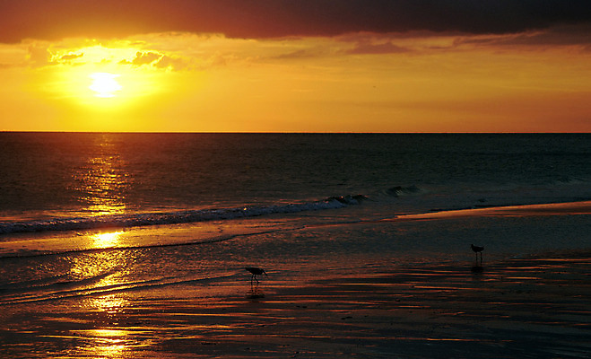 포토 JPG 해외이미지 동물 실루엣 모래 파도 바다 여행 백그라운드 오렌지 자연 갈매기 조류 하늘 휴가 휴식 따뜻함 풍경 사람없음 야외 물 여름 빛 햇빛 반사 맑음 미국 황혼 일몰 새벽 저녁 검색 수유 파라다이스 수평선 플로리다 해외202004 해외포토 자연요소 계절 컨셉 북아메리카 과일 날씨 촬영기법 태양 노을 야간 생태계 파일형식 이미지허브