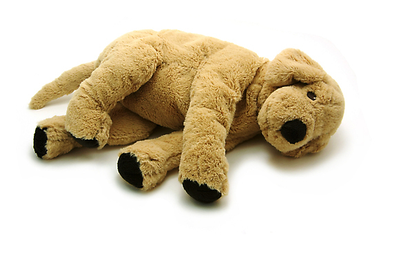 포토 JPG 해외이미지 동물 1 어린이 백그라운드 포유류 포옹 털 선물 사랑 사람없음 반려동물 장난감 갈색 흰색 잠 고급 개 강아지 작음 묶기 오브젝트 싱글 부드러움 솜털 양모 폭식 고립 기르기 마무리 해외202004 해외포토 감정 컬러 컨셉 안기 모션 사람 직물 감각 크기 돌봄 파일형식 이미지허브