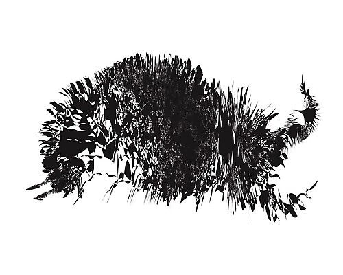 EPS 해외이미지 동물 디자인 실루엣 백그라운드 일러스트 추상 그래픽 농장 머리 검은색 힘 흰색 소 심볼 사인 황소 윤곽 황소자리 고립 해외202004 해외일러스트 컬러 무늬 농업 포유류 촬영기법 신체부위 별자리 파일형식 벡터 이미지허브