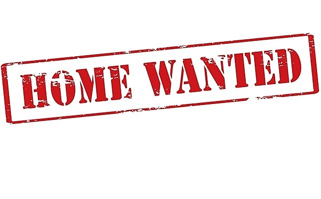 EPS 해외이미지 컨셉 일러스트 텍스트 가정 잉크 주택 빨간색 심볼 사인 시골집 고무 직사각형 리빙 우표 그런지 수배 체크아웃 해외202004 해외일러스트 도형 컬러 건물 파일형식 벡터 이미지허브