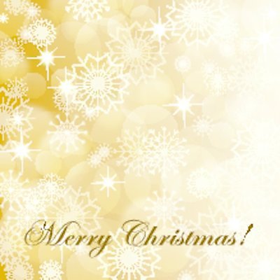 EPS 해외이미지 별 백그라운드 크리스마스장식 크리스마스 겨울 일러스트 휴가 불꽃 새로움 새해 크리스마스카드 빛 축하 인사 원형 신용카드 눈송이 황금 연도 광 블러 크리스마스배경 해외202004 해외일러스트 자연요소 도형 계절 기념일 컨셉 불 카드_감사 눈_날씨 금융 예절 파일형식 벡터 이미지허브