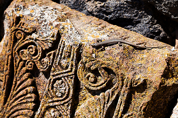 포토 JPG 해외이미지 외관 문화 벽 백그라운드 건축양식 파충류 사람없음 야외 건물 교회 궁전 조약돌 성 중세 역사 보호 맨션 보안 도마뱀 구식 옛날 스타일 해외202004 해외포토 동물 건축물 건축 컨셉 고건축 종교건축 주택 안전 돌_바위 파일형식 이미지허브