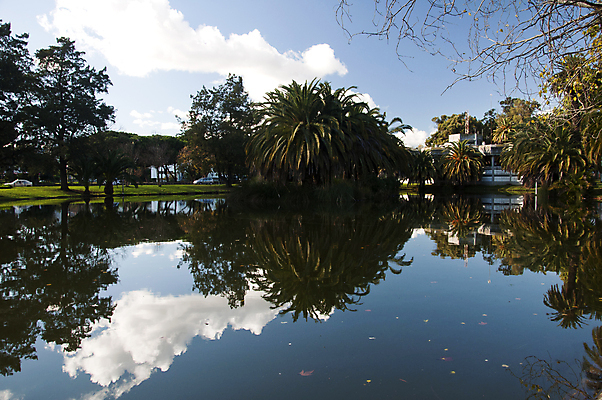 포토 JPG 해외이미지 나무 구름 공원 길 호수 섬 잎 건축양식 자연 하늘 전등 손바닥 풍경 사람없음 건물 물 반사 나뭇가지 도시 포르투갈 리스본 해외202004 해외포토 자연요소 식물 건축물 손 공공시설 건축 유럽 조명 생태계 파일형식 이미지허브