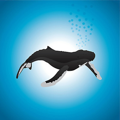 EPS 해외이미지 바다 일러스트 포유류 경사 물 파란색 검은색 수중 거품 고래 해외202004 해외일러스트 자연요소 동물 컬러 수중동물 파일형식 벡터 이미지허브