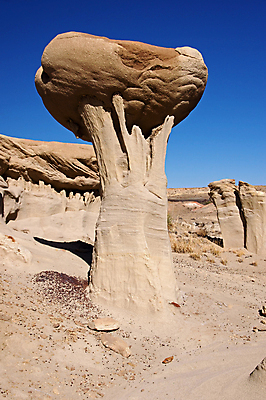 포토 JPG 해외이미지 북아메리카 자연 새로움 산 멕시코 풍경 사람없음 골짜기 계곡 미국 사막 황무지 뉴멕시코 서쪽 지질학 해외202004 해외포토 교육 컨셉 아메리카 방향 생태계 파일형식 이미지허브