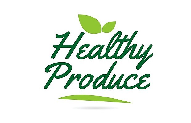 EPS 해외이미지 템플릿 디자인 백그라운드 잎 일러스트 캘리그라피 텍스트 타이포그라피 사람없음 초록색 단어 엘리먼트 활자 레터링 해외202004 해외일러스트 식물 문자 컬러 활자판 파일형식 벡터 이미지허브