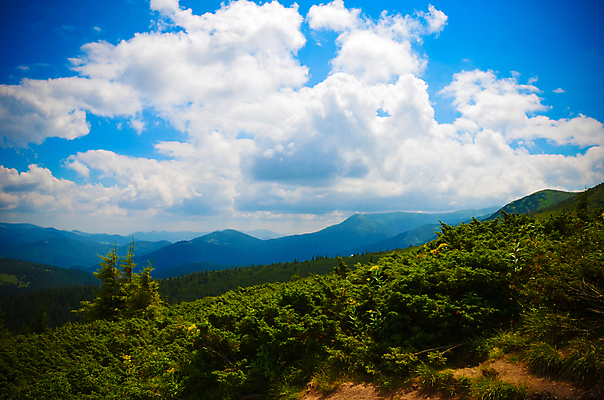 포토 JPG 해외이미지 나무 식물 구름 계절 여행 백그라운드 자연 하늘 아침 휴가 산 풍경 사람없음 야외 목재 초록색 여름 파란색 빛 햇빛 태양 일출 환경 일몰 봄 새벽 안개 가을 시골 저녁 숲 땅 언덕 즐거움 장면 천국 내추럴 생태학 해외202004 해외포토 주간 자연요소 교육 감정 컬러 재료 날씨 노을 야간 생태계 파일형식 이미지허브