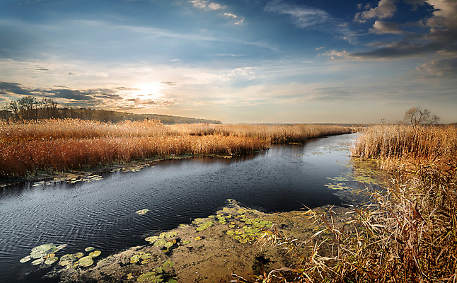 포토 JPG 해외이미지 나무 호수 물결 자연 하늘 갈대 풍경 사람없음 야외 물 강 햇빛 태양 반사 일출 일몰 회색 추위 가을 연못 개울 숲 우크라이나 해외202004 해외포토 자연요소 식물 계절 유럽 컬러 노을 생태계 파일형식 이미지허브