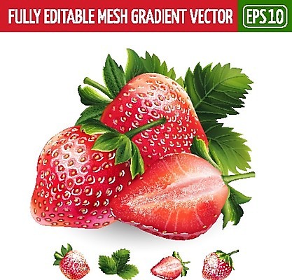 EPS 해외이미지 클립아트 일러스트 딸기 디저트 사람없음 슬라이스 딸기잎 해외202004 해외일러스트 음식 잎 과일 파일형식 벡터 이미지허브