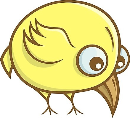 EPS 해외이미지 동물 캐릭터 일러스트 조류 반려동물 노란색 눈동자 만화 부리 고립 해외202004 해외일러스트 일러캐릭터 컬러 눈_신체부위 파일형식 벡터 이미지허브