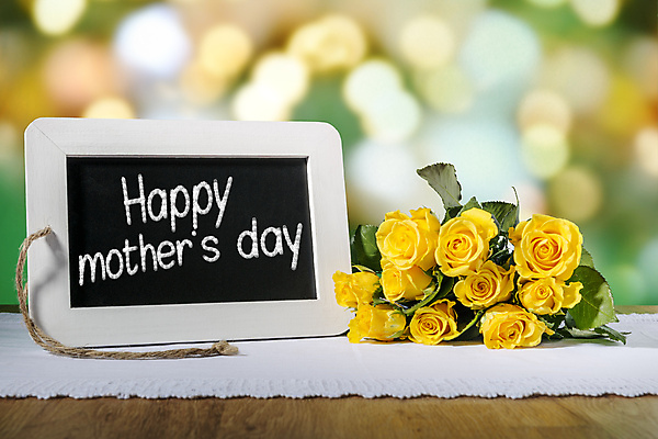 포토 JPG 해외이미지 접시 교육 꽃 백그라운드 학교 탁자 엄마 아침 휴가 프레임 발렌타인데이 사람없음 목재 장미 갈색 노란색 우주 검은색 칠판 봄 공백 수확 흰색 하트 시골 메뉴 분필 질감 고립 무료 석판 옛날 해외202004 해외포토 주간 모양 나무 식물 식기 계절 컬러 가구 농업 재료 가족 데이이벤트 초크 파일형식 이미지허브