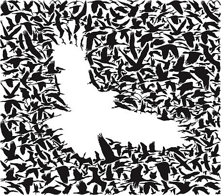 EPS 해외이미지 모양 동물 디자인 계절 실루엣 야생동물 백그라운드 패턴 날개 일러스트 자연 조류 풍경 야외 그래픽 가로 세트 검은색 덮개 가을 흰색 그룹 심볼 깃털 그림 독수리 육식동물 실타래 고립 많음 해외202004 해외일러스트 컬러 컨셉 무늬 촬영기법 뚜껑 생태계 파일형식 벡터 이미지허브