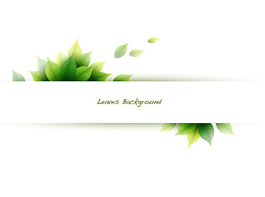 식물 배너 컬러 백그라운드 잎 일러스트 자연 나뭇잎 안내 프레임 틀 사람없음 초록색 풀 알림 나뭇잎배경 국내일러스트 AI파일 생태계 파일형식 벡터