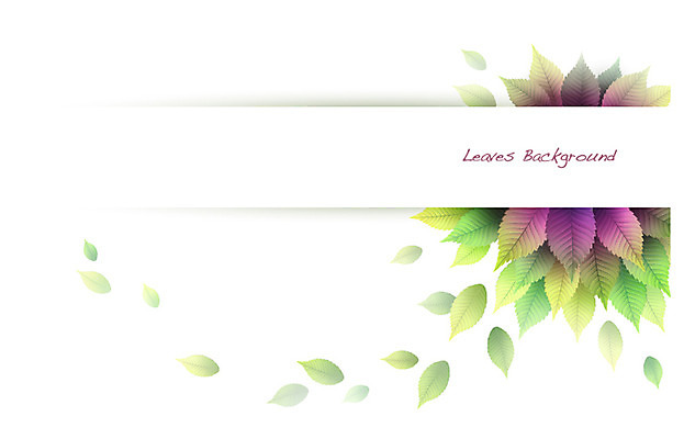 식물 배너 컬러 백그라운드 잎 일러스트 자연 나뭇잎 안내 프레임 틀 사람없음 초록색 보라색 풀 알림 나뭇잎배경 국내일러스트 AI파일 생태계 파일형식 벡터