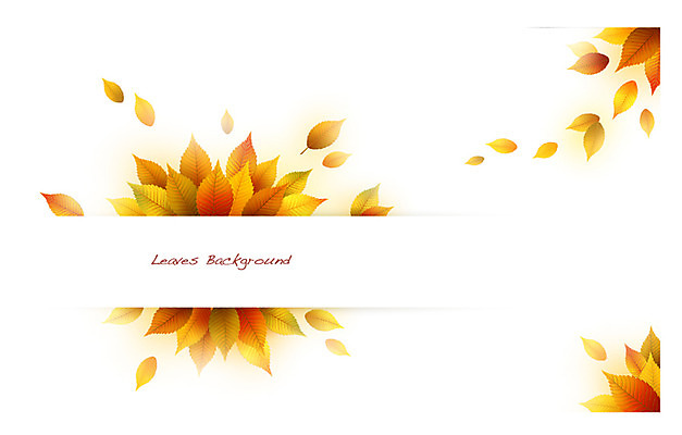 식물 배너 계절 컬러 백그라운드 잎 일러스트 자연 나뭇잎 안내 프레임 틀 사람없음 주황색 가을 풀 알림 나뭇잎배경 가을배경 국내일러스트 AI파일 생태계 파일형식 벡터 가을_계절