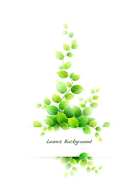 식물 배너 컬러 백그라운드 잎 일러스트 자연 나뭇잎 안내 프레임 틀 사람없음 초록색 풀 알림 나뭇잎배경 국내일러스트 AI파일 생태계 파일형식 벡터