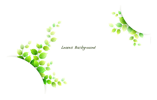 식물 배너 컬러 백그라운드 잎 일러스트 자연 나뭇잎 안내 프레임 틀 사람없음 초록색 풀 알림 나뭇잎배경 국내일러스트 AI파일 생태계 파일형식 벡터