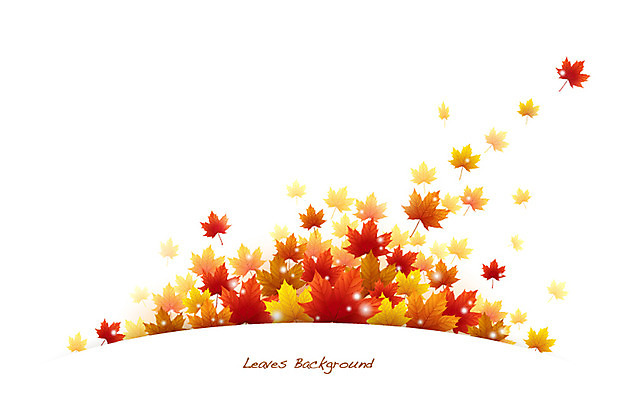 식물 배너 계절 컬러 백그라운드 단풍 잎 일러스트 자연 나뭇잎 안내 프레임 틀 사람없음 빨간색 가을 풀 알림 나뭇잎배경 가을배경 국내일러스트 AI파일 생태계 파일형식 벡터 가을_계절