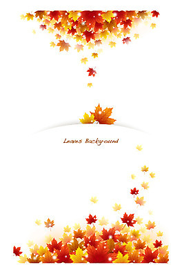 식물 배너 계절 컬러 백그라운드 단풍 잎 일러스트 자연 나뭇잎 안내 프레임 틀 사람없음 빨간색 가을 풀 알림 나뭇잎배경 가을배경 국내일러스트 AI파일 생태계 파일형식 벡터 가을_계절