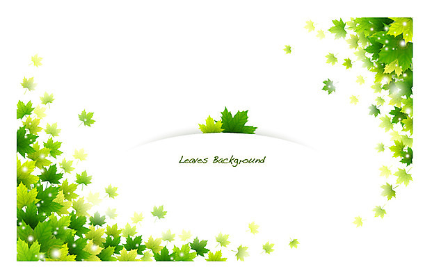 식물 배너 컬러 백그라운드 단풍 잎 일러스트 자연 나뭇잎 안내 프레임 틀 사람없음 초록색 풀 알림 국내일러스트 AI파일 생태계 파일형식 벡터