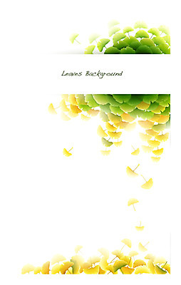 식물 배너 계절 컬러 백그라운드 잎 일러스트 자연 나뭇잎 안내 프레임 틀 사람없음 초록색 노란색 가을 풀 알림 은행잎 나뭇잎배경 가을배경 국내일러스트 AI파일 생태계 파일형식 벡터 가을_계절