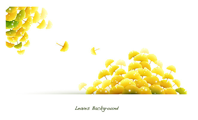 식물 배너 계절 컬러 백그라운드 잎 일러스트 자연 나뭇잎 안내 프레임 틀 사람없음 노란색 가을 풀 알림 은행잎 나뭇잎배경 가을배경 국내일러스트 AI파일 생태계 파일형식 벡터 가을_계절