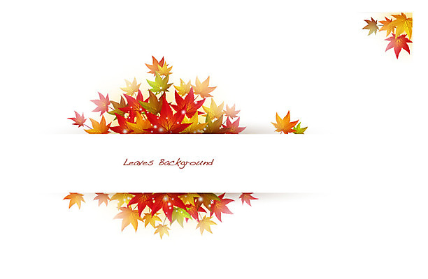 식물 배너 계절 컬러 백그라운드 단풍 잎 일러스트 자연 나뭇잎 안내 프레임 틀 사람없음 빨간색 가을 풀 알림 나뭇잎배경 가을배경 국내일러스트 AI파일 생태계 파일형식 벡터 가을_계절