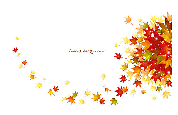 식물 배너 계절 컬러 백그라운드 단풍 잎 일러스트 자연 나뭇잎 안내 프레임 틀 사람없음 빨간색 가을 풀 알림 나뭇잎배경 가을배경 국내일러스트 AI파일 생태계 파일형식 벡터 가을_계절