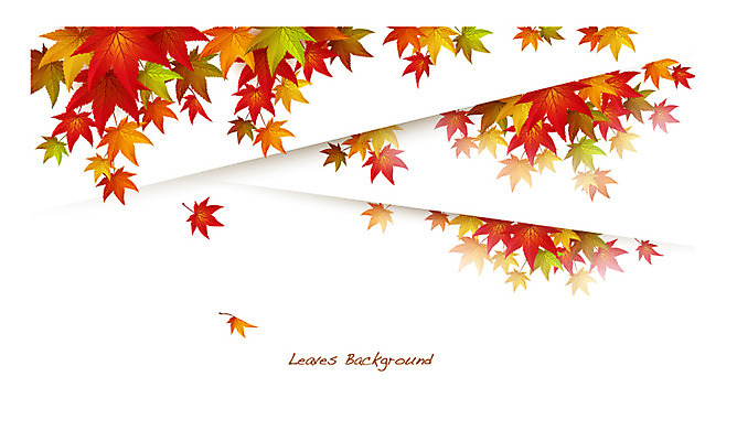 식물 배너 계절 컬러 백그라운드 단풍 잎 일러스트 자연 나뭇잎 안내 프레임 틀 사람없음 빨간색 가을 풀 알림 나뭇잎배경 가을배경 국내일러스트 AI파일 생태계 파일형식 벡터 가을_계절