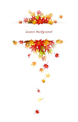 식물 배너 계절 컬러 백그라운드 단풍 잎 일러스트 자연 나뭇잎 안내 프레임 틀 사람없음 빨간색 가을 풀 알림 나뭇잎배경 가을배경 국내일러스트 AI파일 생태계 파일형식 벡터 가을_계절