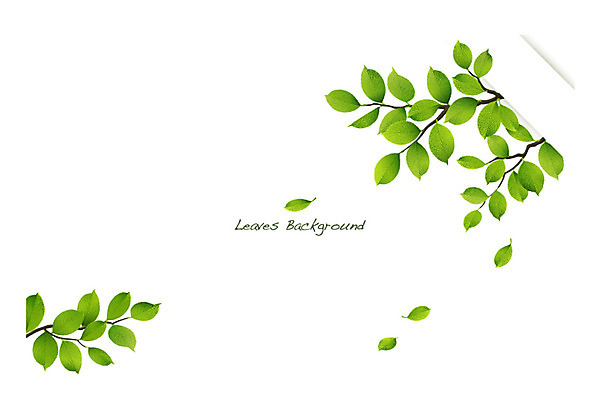 나무 식물 배너 컬러 백그라운드 잎 일러스트 자연 나뭇잎 안내 프레임 틀 사람없음 초록색 나뭇가지 풀 알림 나뭇잎배경 국내일러스트 AI파일 생태계 파일형식 벡터