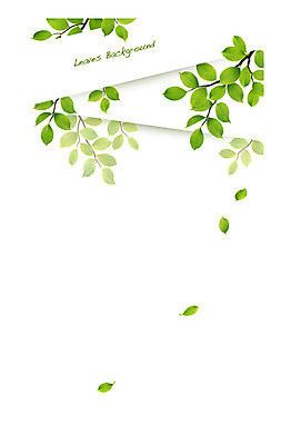 나무 식물 배너 컬러 백그라운드 잎 일러스트 자연 나뭇잎 안내 프레임 틀 사람없음 초록색 나뭇가지 풀 알림 나뭇잎배경 국내일러스트 AI파일 생태계 파일형식 벡터