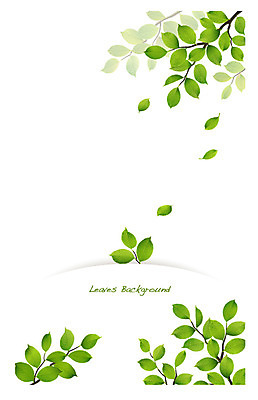 나무 식물 배너 컬러 백그라운드 잎 일러스트 자연 나뭇잎 안내 프레임 틀 사람없음 초록색 나뭇가지 풀 알림 나뭇잎배경 국내일러스트 AI파일 생태계 파일형식 벡터