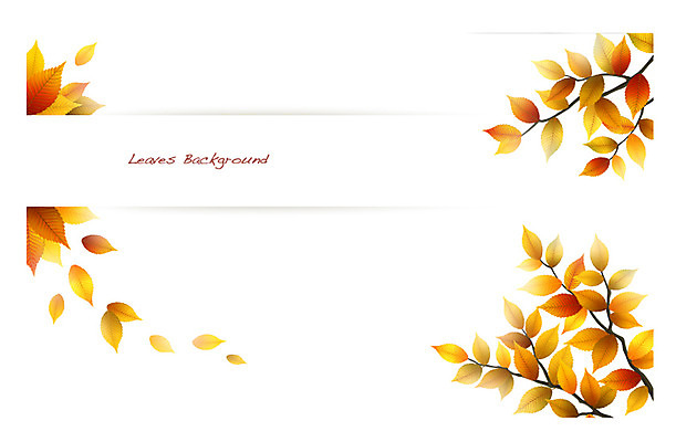 나무 식물 배너 컬러 백그라운드 잎 일러스트 자연 나뭇잎 안내 프레임 틀 사람없음 주황색 나뭇가지 풀 알림 나뭇잎배경 느티나무 국내일러스트 AI파일 생태계 파일형식 벡터