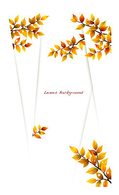 나무 식물 배너 컬러 백그라운드 잎 일러스트 자연 나뭇잎 안내 프레임 틀 사람없음 주황색 나뭇가지 풀 알림 나뭇잎배경 느티나무 국내일러스트 AI파일 생태계 파일형식 벡터