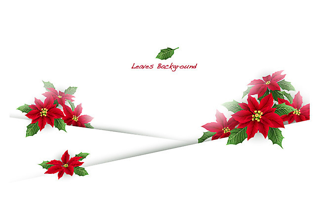 식물 배너 꽃 컬러 백그라운드 잎 꽃백그라운드 일러스트 자연 나뭇잎 안내 프레임 틀 사람없음 빨간색 풀 알림 나뭇잎배경 포인세티아 국내일러스트 AI파일 생태계 파일형식 벡터