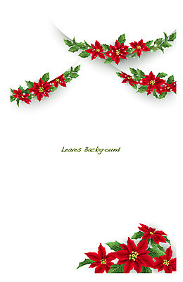 식물 배너 꽃 컬러 백그라운드 잎 꽃백그라운드 일러스트 자연 나뭇잎 안내 프레임 틀 사람없음 빨간색 풀 알림 나뭇잎배경 포인세티아 국내일러스트 AI파일 생태계 파일형식 벡터