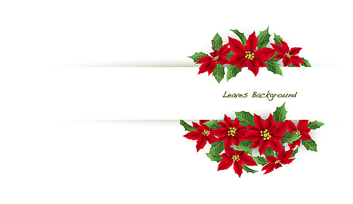 식물 배너 꽃 컬러 백그라운드 잎 꽃백그라운드 일러스트 자연 나뭇잎 안내 프레임 틀 사람없음 빨간색 풀 알림 나뭇잎배경 포인세티아 국내일러스트 AI파일 생태계 파일형식 벡터