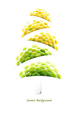 나무 식물 배너 계절 컬러 백그라운드 잎 일러스트 자연 나뭇잎 안내 프레임 틀 사람없음 초록색 노란색 가을 풀 알림 은행잎 은행나무 나뭇잎배경 가을배경 국내일러스트 AI파일 생태계 파일형식 벡터 가을_계절